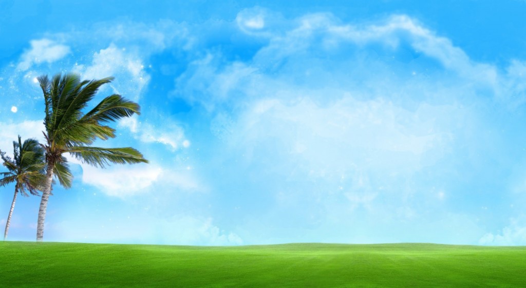 windy-palms-sky-blue.jpg